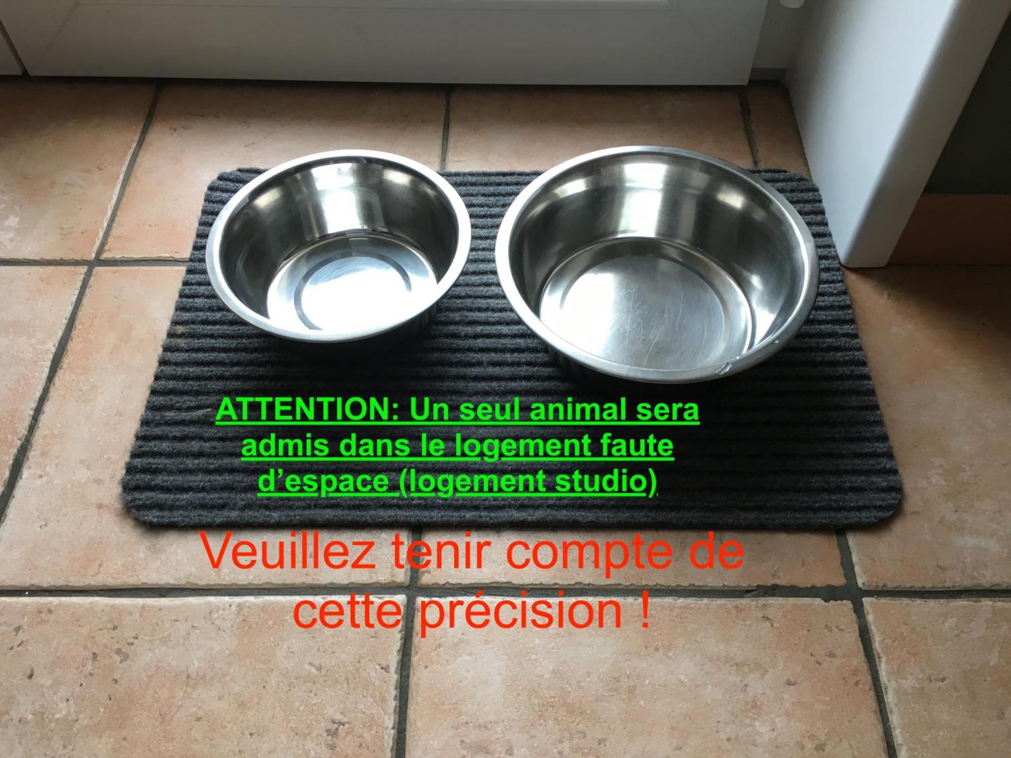 Studio "Cote Mer" La Naturelle - Wimereux Buitenkant foto